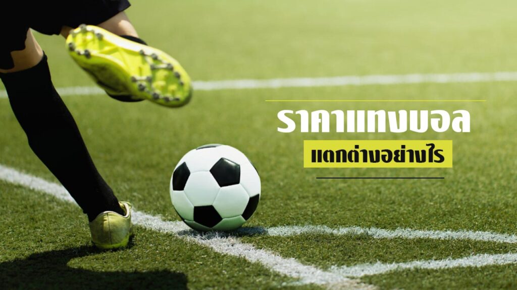 ราคาแทงบอล